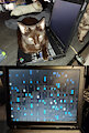 R.I.P. Thinkpad