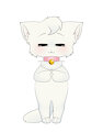 Live2D cat model