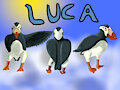 LUKA ref by LowestPolygon