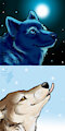 New Thumbnails