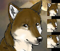 New Icons - Gift from Sheppy