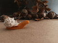 [gif] Snail claymation test
