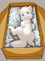 A Wolf in a Box by WolfeMan