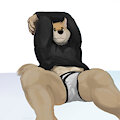 Clothes Meme Dog