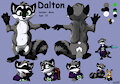 Dalton Reference Sheet by DaltonRaccoon