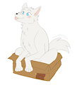 A Wolf in a Box by WolfeMan