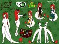 Zui Ref Sheet by candykittycat