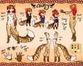 Candy's Ref Sheet by candykittycat