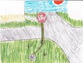 At the Corner