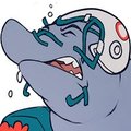 Miami Dolphin TF by Kuma