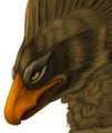 gryph icon by SturmKind
