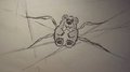 Spuder Burr by FST