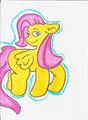 fluttershy