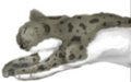 Adult Saphira - Spots by KaraRose