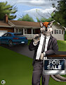 Storm Realtor
