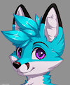 Renard Vulpes