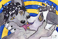 Hypno - Sylver and Danny
