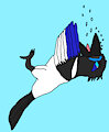 Sinking Magpie