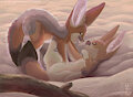 Desert Tumbles Cape Fox
