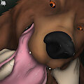 Stop this big teddy bear X)