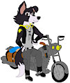 Anastasia The Border Collie [SaberTooth3]