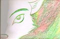 Colors half-face fox