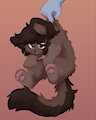 Angry Bear