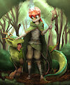 Druid and Dragon