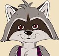 Bri the Raccoon Back Story 2020