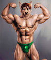 Nils the Wolf by bleakcat