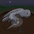 the pillow by woggle