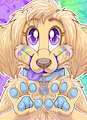 Golden Retriever Paws