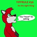 Yiffrule #36