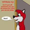 Yiffrule #37