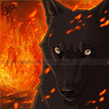 Shadows of the Flame by LostWolfSpirit
