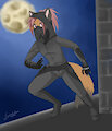 Assassin Nikki by NikkitheTanuki