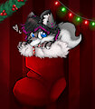 Shazzie Christmas Gift