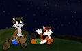 Starlight Night by Rasik