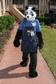 Out for a walk by Pandr
