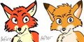Practice with faces