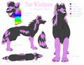 Tav Windpaw Character Sheet by TavWindpaw