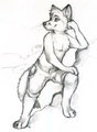 cliffside Cizkaro by Skulldog by cizkaro