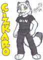 RF2009 Badge by Marci by cizkaro