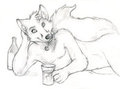 Cizkaro lounge by Skulldog by cizkaro