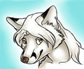 Cizkaro icon by Mehndix by cizkaro