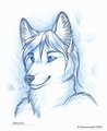 Cizkaro by Redrumwolf/Rimsky/Kashmere by cizkaro