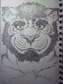 Tiger Dude