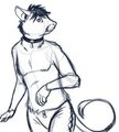 Irie: Early Sketch