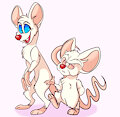 Pinky and the Brain by PlagueDogs123