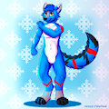 Facebook Raffle Price #1